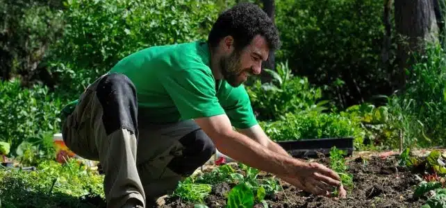 Redonner vie à son jardin en été : les conseils à suivre